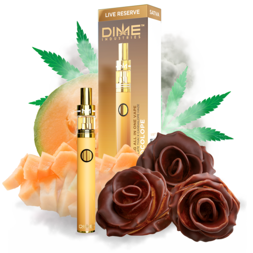 Dime disposable flavors for sale