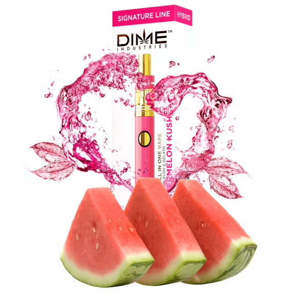 Dime Disposable - WATERMELON KUSH